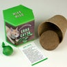 Kit di Coltivazione "Miao Miao" - Bomba di Semi Erba Gatta