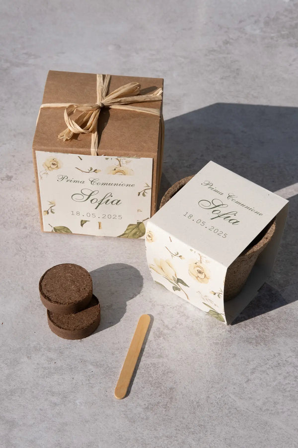 Kit di Semina in Vaso