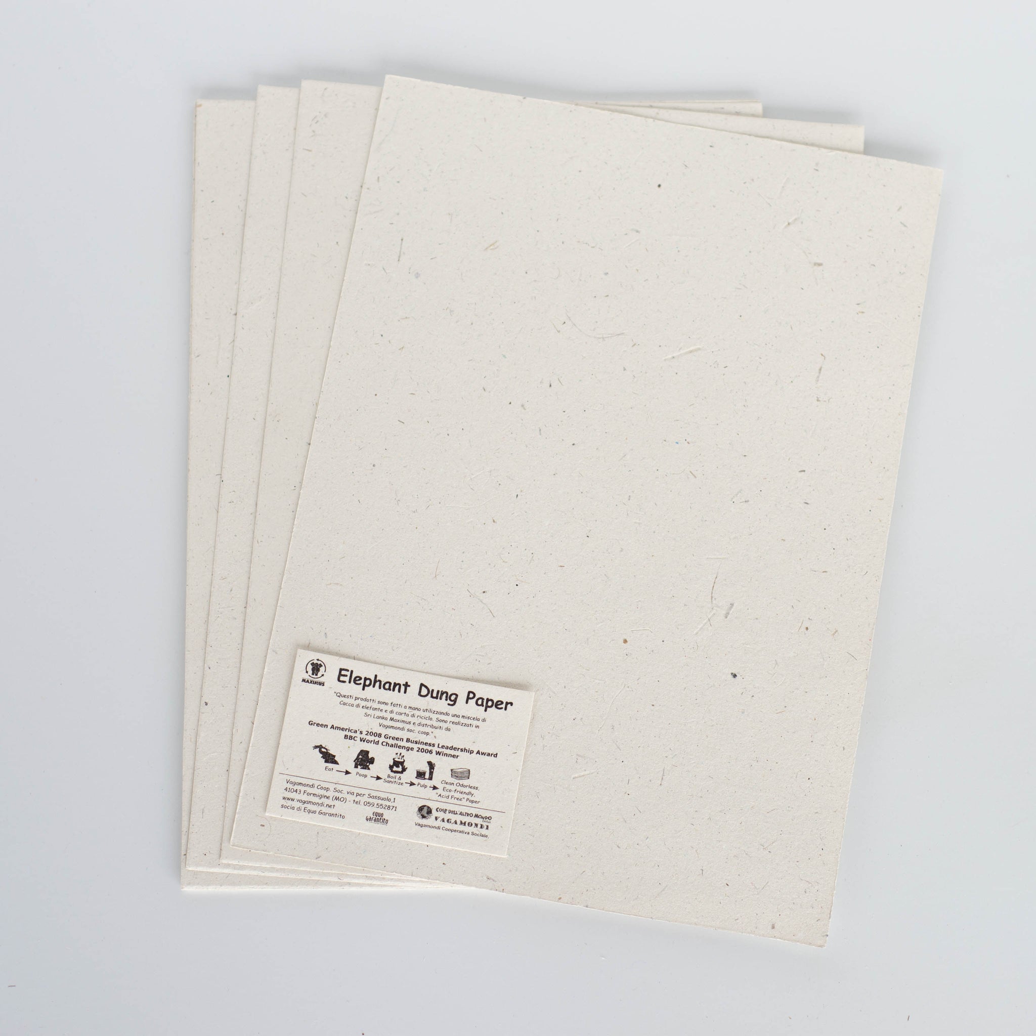 Fogli bianchi A4 in carta ecologica di pachiderma Eco Maximus