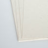 Fogli A4 bianchi ecologici in carta di pachiderma Eco Maximus