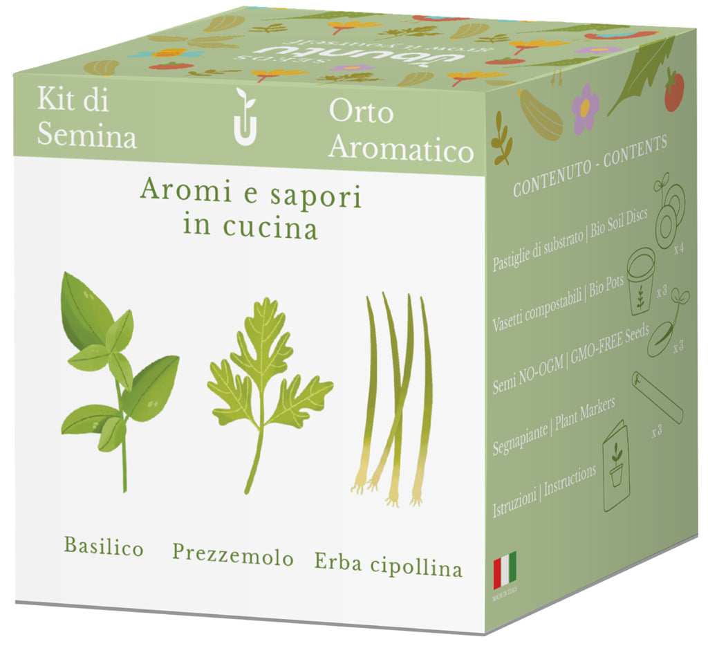 Prezzemolo Ed Erba Cipollina Fotografia Stock - Immagine Di Cibi, Erbe - Foto 5