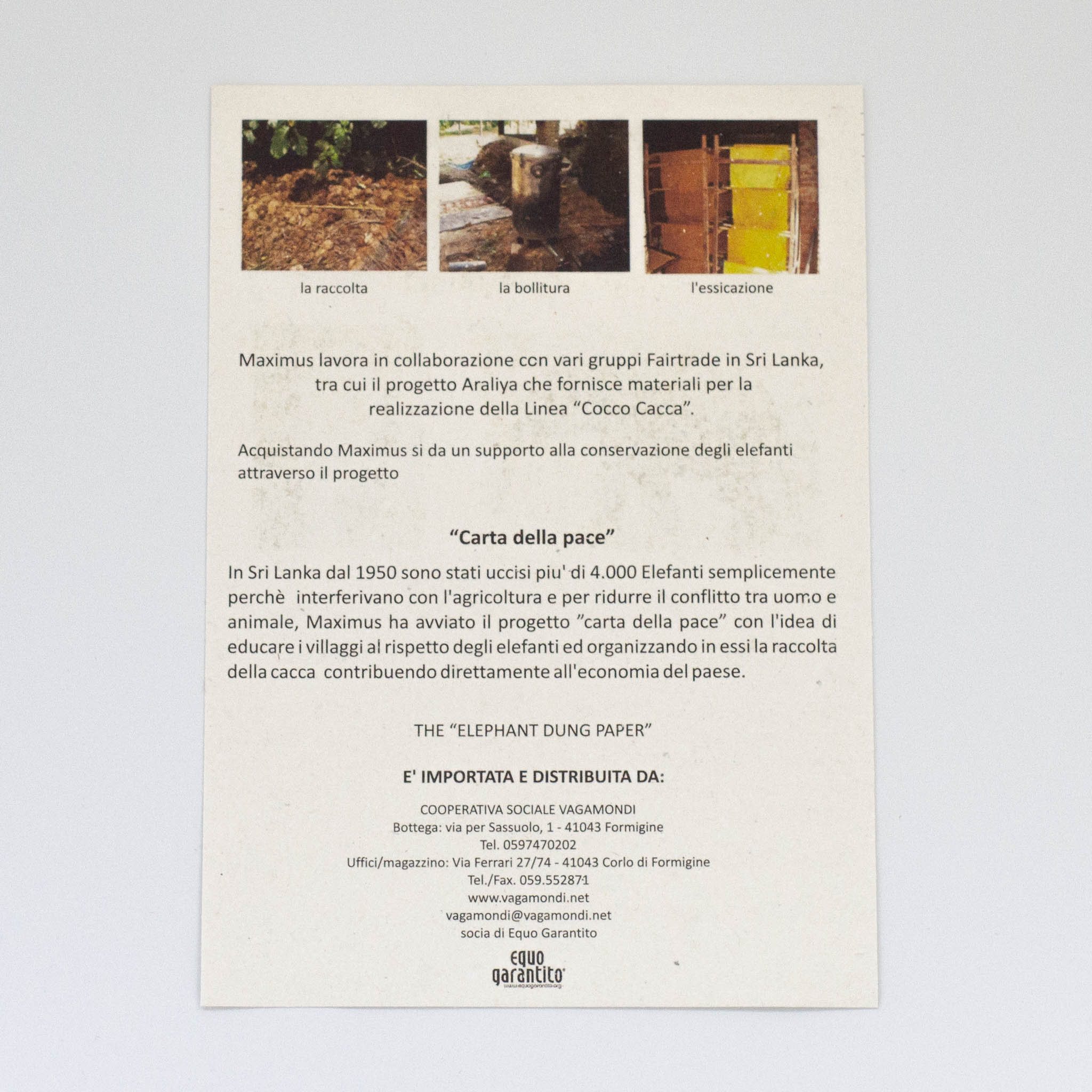 Confezione di Fogli A4 da 100 Fogli Bianchi, Carta Multifunzionale
